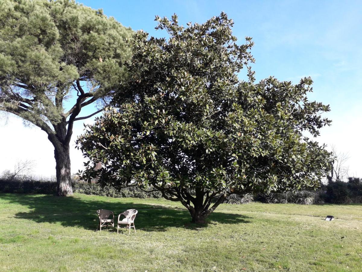 Hotel Antico Borgo Di Sutri Extérieur photo